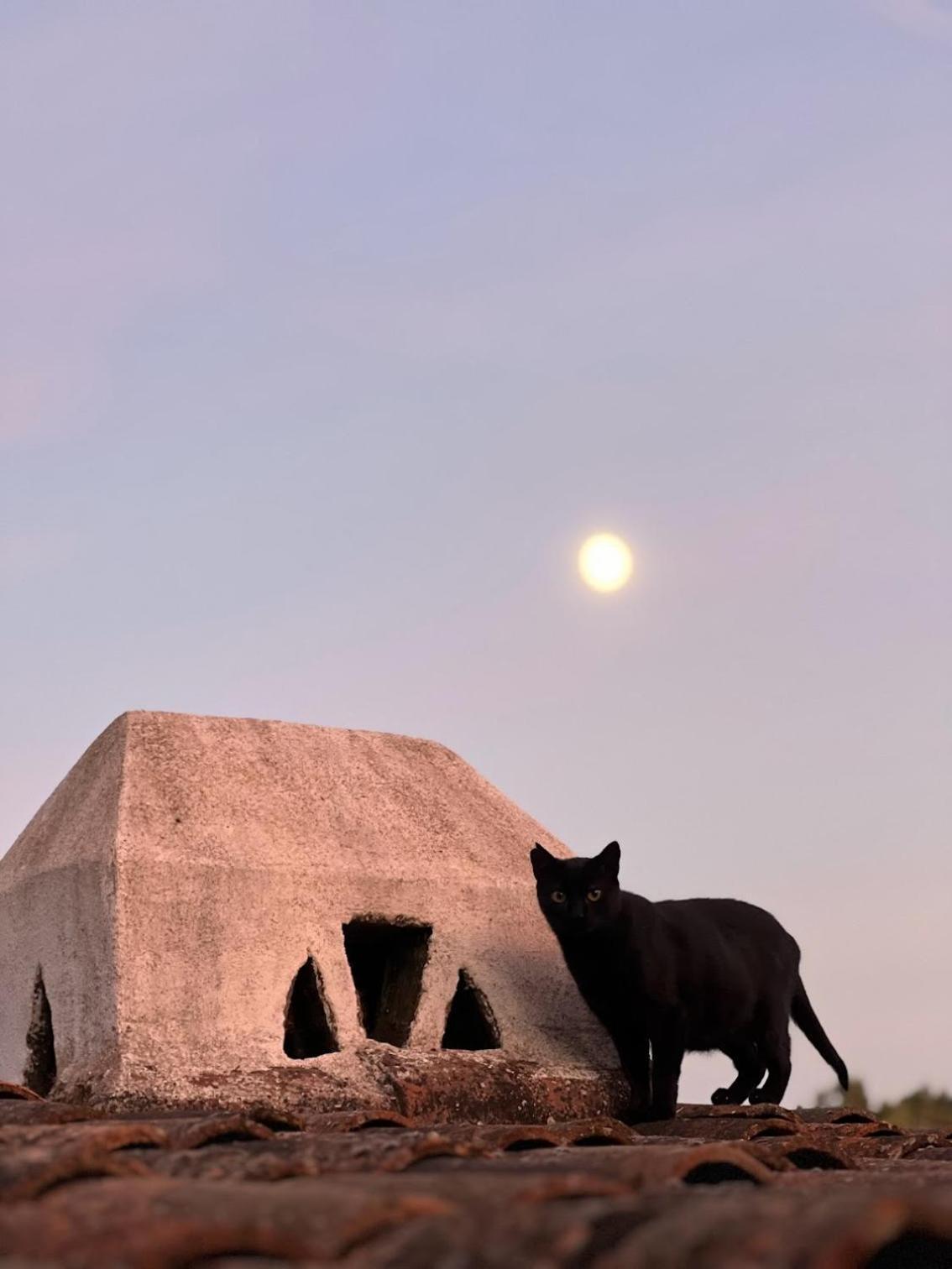 Casa Dos Galegos Villa Marvão Dış mekan fotoğraf